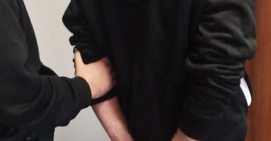 zdjęcie: Areszt za śmiertelne potrącenie rowerzystki na DW 581 / fot. KPP w Gostyninie