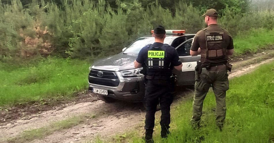 zdjęcie: Wspólne służby policjantów i strażników leśnych / fot. KPP w Świeciu