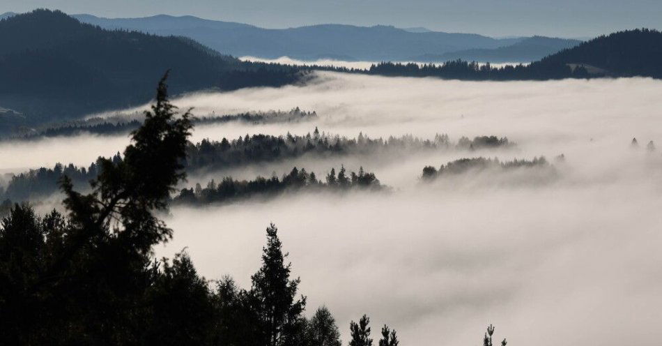 zdjęcie: Synoptyk IMGW: gęste mgły na południu, lokalnie możliwe przymrozki / Kluszkowce (woj. małopolskie), 20.10.2025. Poranne mgły w miejscowości Kluszkowce, 20 bm. (aldg) PAP/Grzegorz Momot