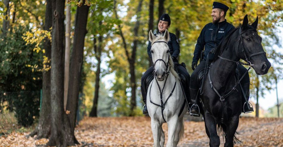 zdjęcie: Poznań – Trwa nabór wewnętrzny do Wydziału Sztab Komendy Miejskiej Policji  w Poznaniu / fot. KMP w Poznaniu