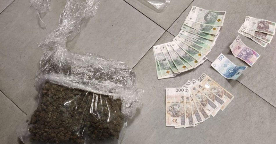 zdjęcie: Zatrzymano mężczyznę z ponad 700 g marihuany w Końskich / fot. KPP Końskie