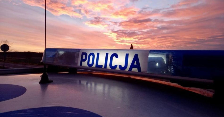 zdjęcie: Jedna kontrola - 6 wykroczeń / fot. KPP Nysa