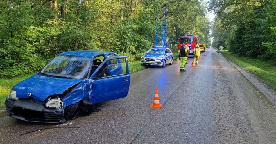 zdjęcie: Chwila nieuwagi doprowadziła do niebezpiecznej sytuacji na drodze / fot. KPP w Zduńskiej Woli