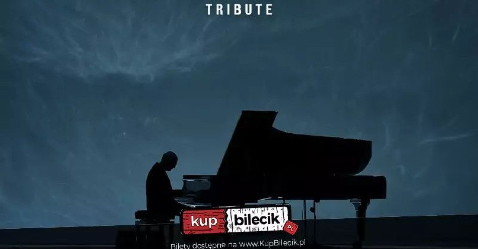 zdjęcie: Muzyka Ludovica Einaudiego / kupbilecik24.pl / Muzyka Ludovica Einaudiego
