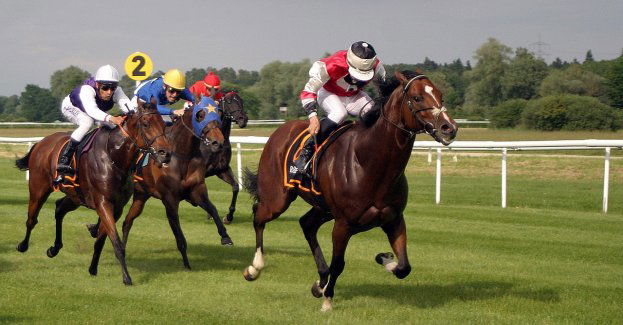 Rekordowy sezon na Wrocławskim Torze Wyścigów Konnych Partynice