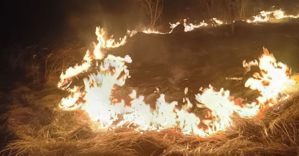 zdjęcie: Policjanci ugasili rozprzestrzeniający się pożar traw / fot. KMP Chełm