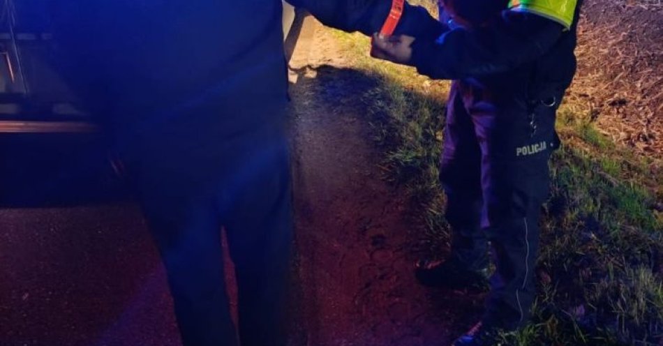 zdjęcie: Mały odblask, wielka różnica Zadbaj o bezpieczeństwo / fot. KPP w Świdnicy