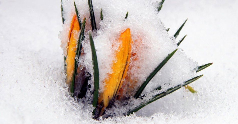 zdjęcie: Od poniedziałku coraz zimniej, na północy i północnym wschodzie możliwy śnieg / fot. PAP