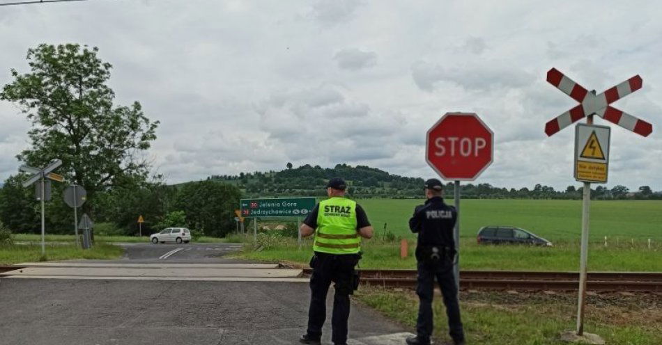 zdjęcie: 18 razy zignorowali znak STOP / fot. KPP w Lwówku Śląskim