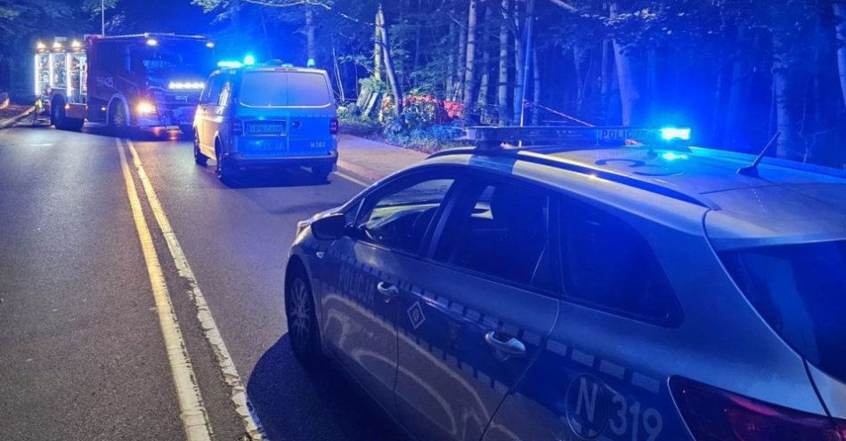 zdjęcie: Śmiertelny wypadek na ul. Malczewskiego / fot. KMP w Sopocie
