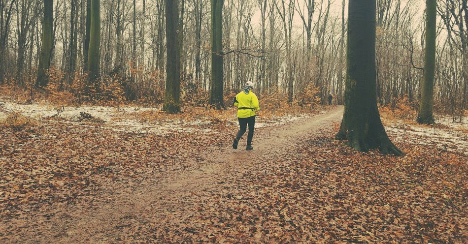 zdjęcie: Pieszo po drodze ekspresowej poruszać się nie wolno! / pixabay/2817559
