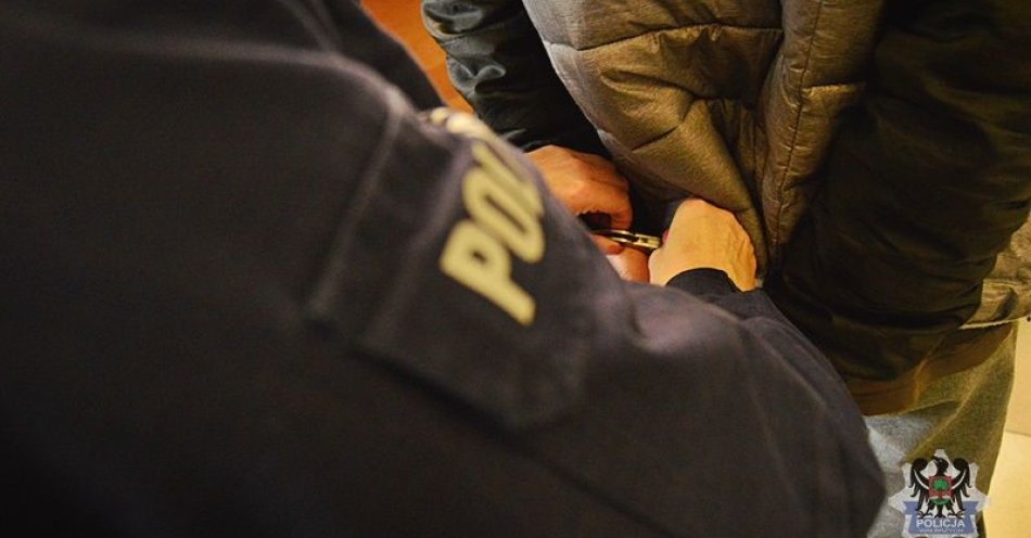 zdjęcie: Trzech mężczyzn zatrzymanych za kradzieże sklepowe / fot. KMP w Wałbrzychu