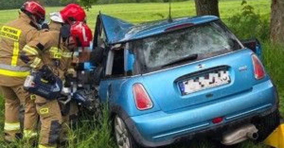 zdjęcie: Po wyprzedzaniu wjechał w drzewo - poważny wypadek w Ciechanowicach / fot. KPP w Kamiennej Górze