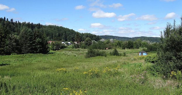 Lesko: dziewicze lasy, krystalicznie czyste jeziora i góry pełne dzikiej fauny i flory