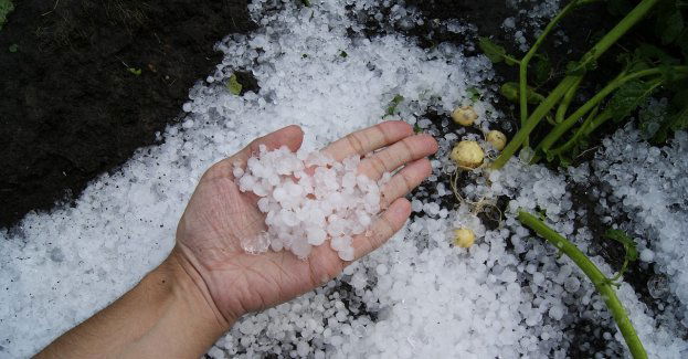 IMGW ostrzega przed burzami z gradem