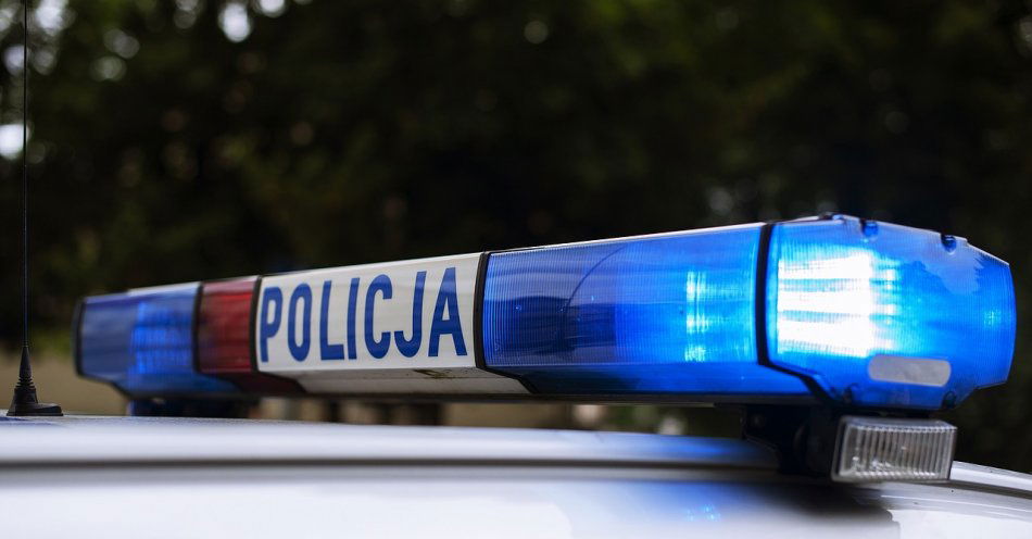 zdjęcie: Policjanci zatrzymali 5 praw jazdy za przekroczenie prędkości powyżej 50 km/h / pixabay/4261182