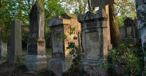 W tym roku odwiedzający groby w Olsztynie wrzucili do puszek 19 tys. zł