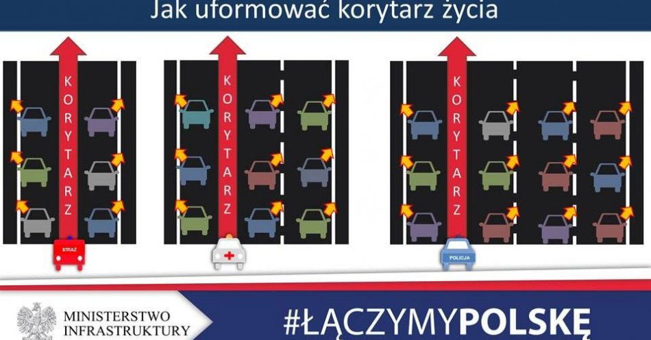 zdjęcie: Czym jest korytarz życia i dlaczego jest taki ważny? / fot. KPP w Braniewie