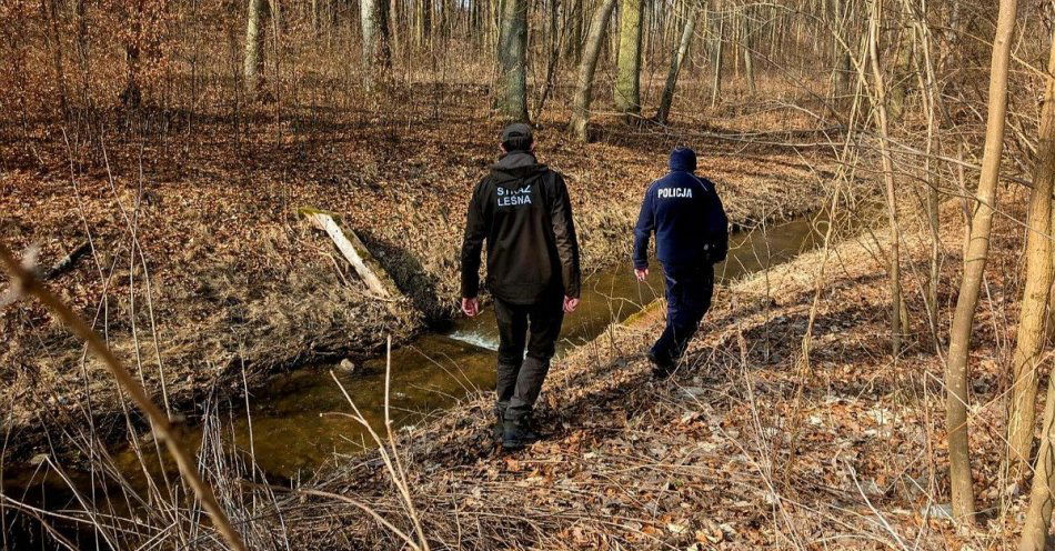 zdjęcie: Policja i Straż Leśna patrolują lasy gminne / fot. KPP w Chełmnie