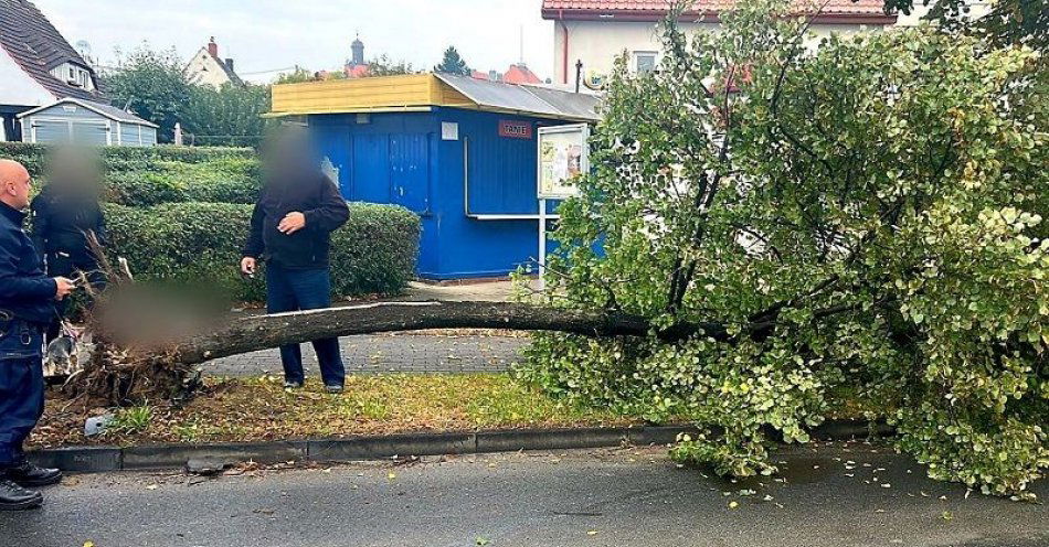 zdjęcie: Nietrzeźwa 41-latka spowodowała kolizję i wjechała w drzewo / fot. KPP w Ząbkowicach Śląskich