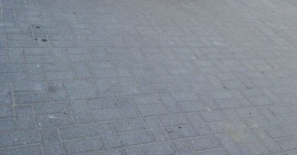 zdjęcie: Mieszkaniec powiatu kępińskiego zatrzymany za fałszywe prawo jazdy / fot. KPP Kępno