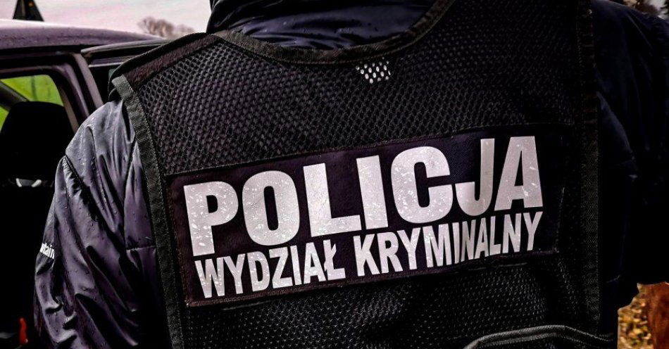 zdjęcie: 11 poszukiwanych w rękach policjantów / fot. KMP Białystok