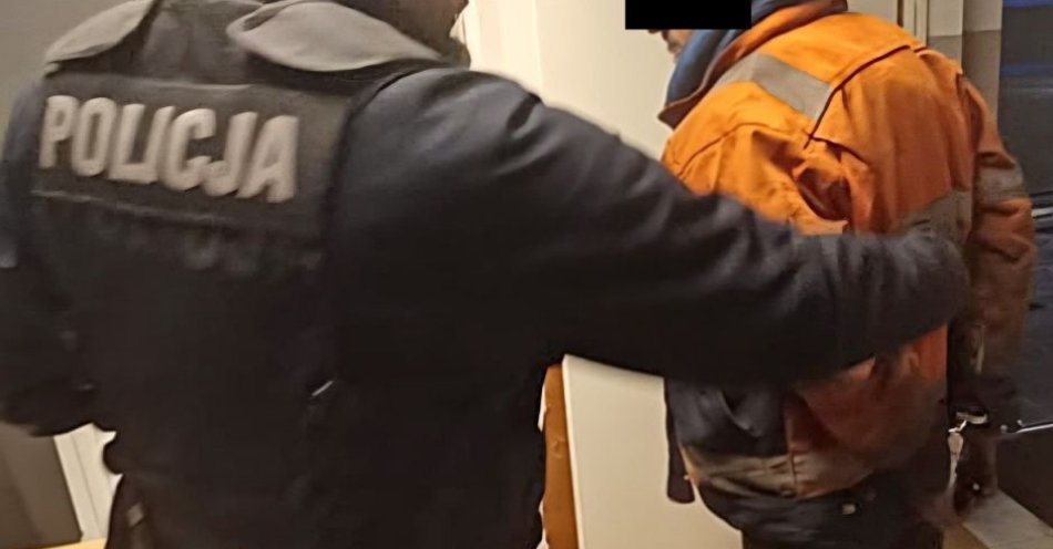 zdjęcie: Napad na seniorkę na przystanku. Sprawca aresztowany / fot. KPP Puławy