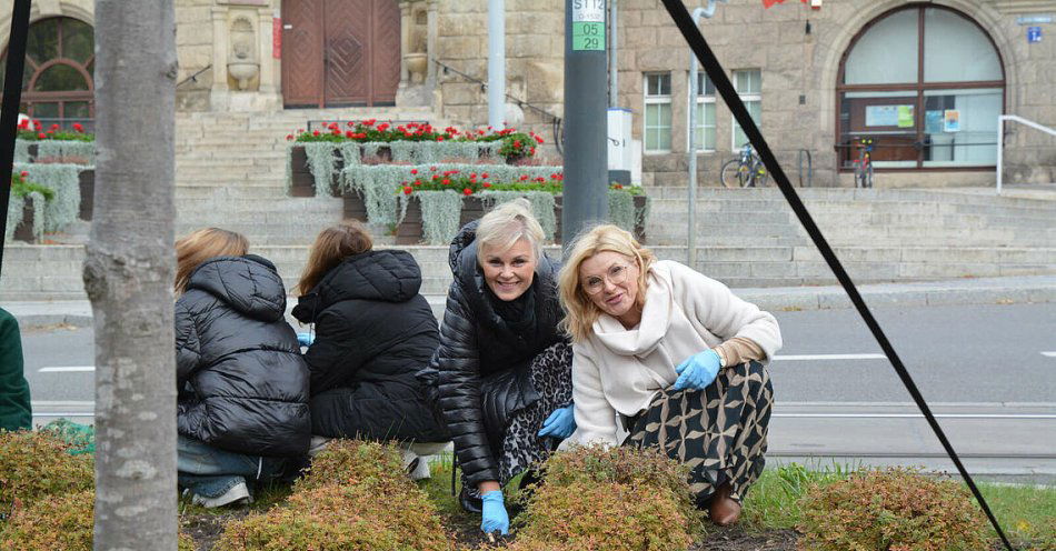 zdjęcie: Kolejne Pole Nadziei / fot. nadesłane