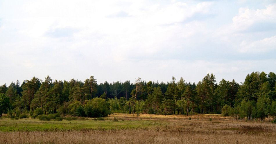 zdjęcie: Park Narodowy Doliny Dolnej Odry nie powstanie bez zgody lokalnych samorządów / v39194669