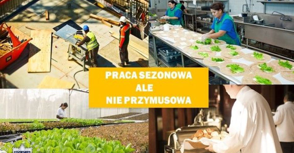 zdjęcie: Praca sezonowa, ale nie przymusowa / fot. KPP w Trzebnicy