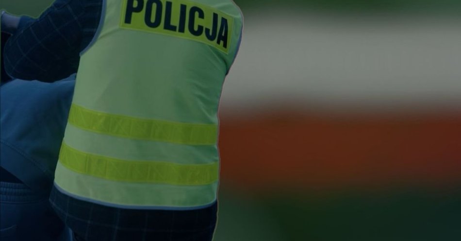 zdjęcie: Świnoujście: tymczasowy areszt dla 38-latka po kradzieży emblemów / fot. KMP w Świnoujściu