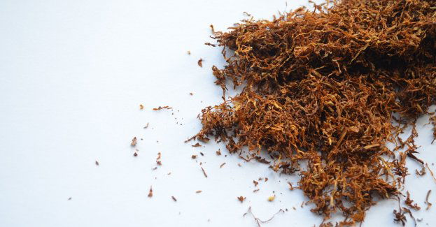 1,3 t nielegalnego tytoniu w samochodzie zatrzymanym na A1