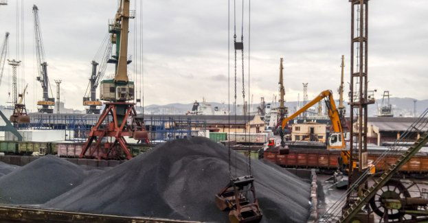 Władze portu zapewniają m.in. codzienne kontrole firm składujących węgiel