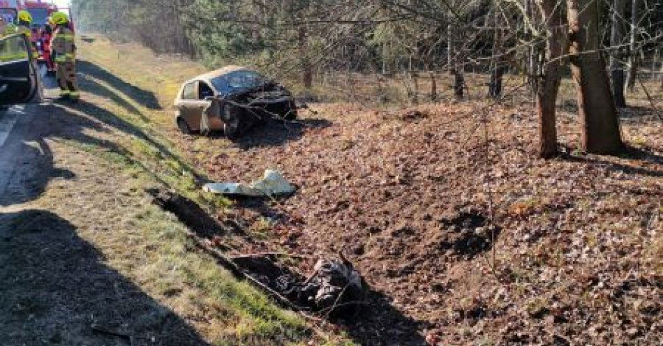 zdjęcie: Jaromierz - Uderzył samochodem w drzewo / fot. KPP Wolsztyn