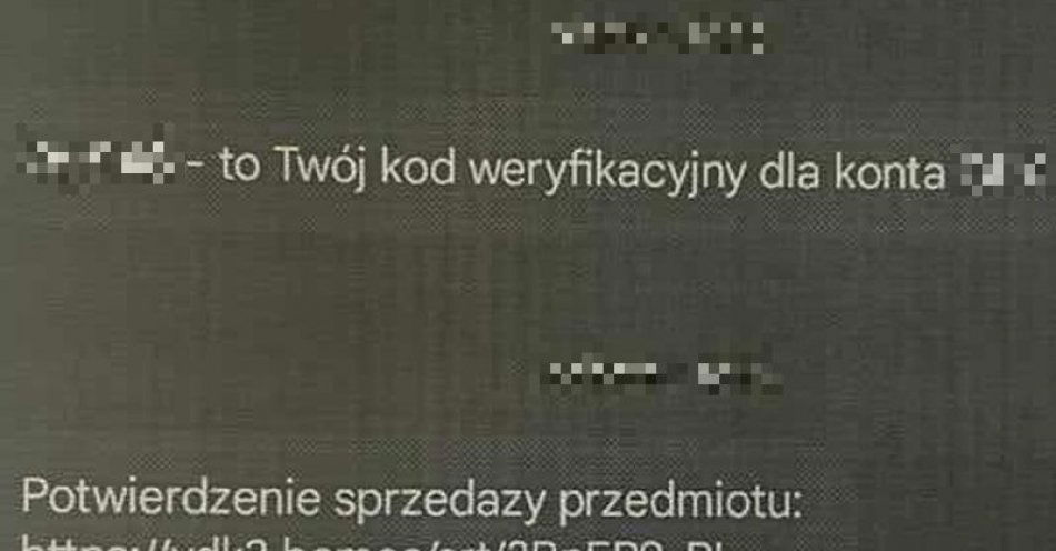 zdjęcie: Chciał zarobić na sprzedaży w internecie. Kliknął w link i został oszukany / fot. KPP w Trzebnicy
