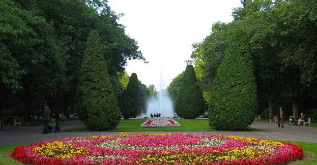 Stypendia dla twórców