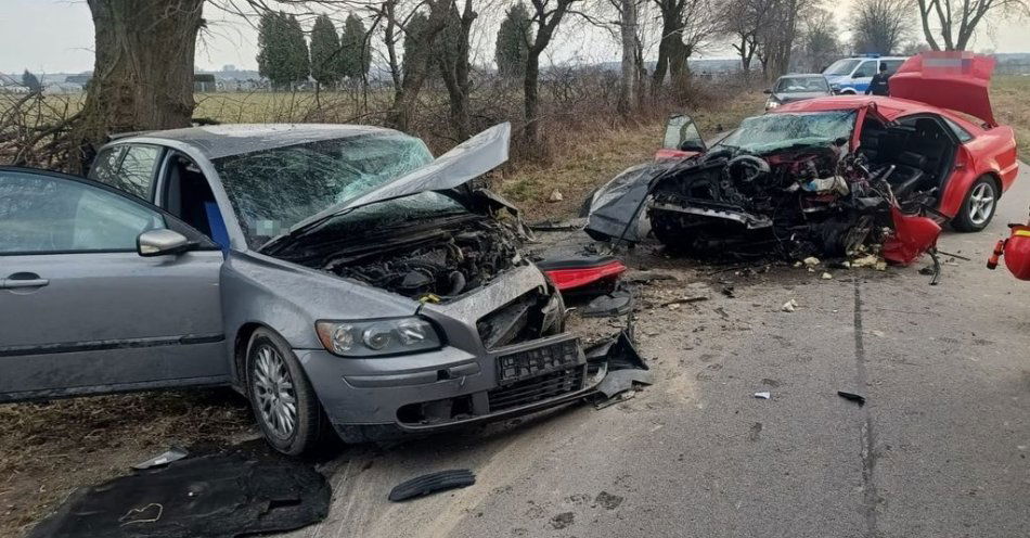 zdjęcie: Śmiertelny wypadek w gminie Sitno. W wyniku doznanych obrażeń zmarł 22-letni kierowca Audi / fot. KMP Zamość