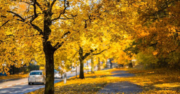 Pogoda Sępólno Krajeńskie