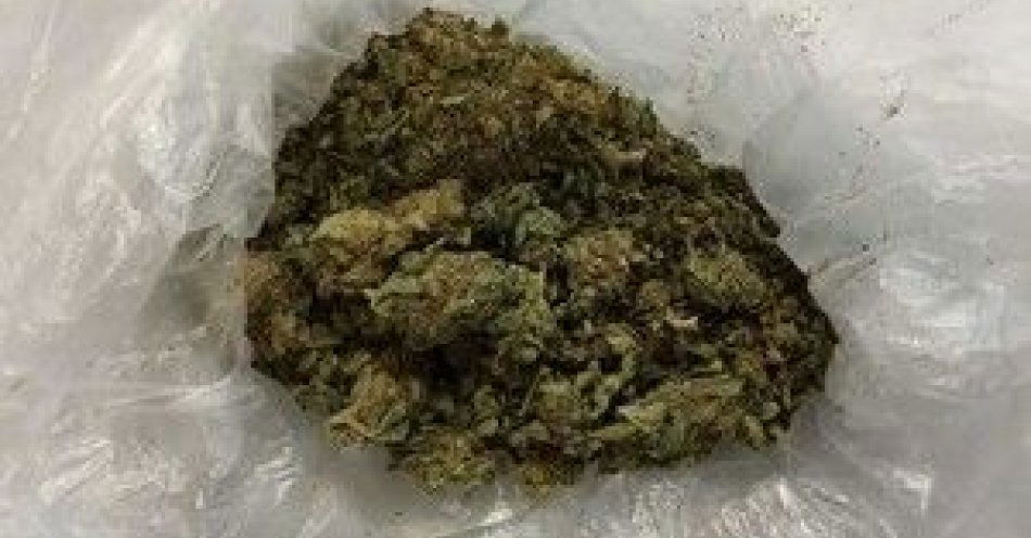 zdjęcie: Głośna muzyka w zaparkowanym aucie a wewnątrz dwóch mężczyzn i marihuana / fot. KPP w Ostrowi Mazowieckiej