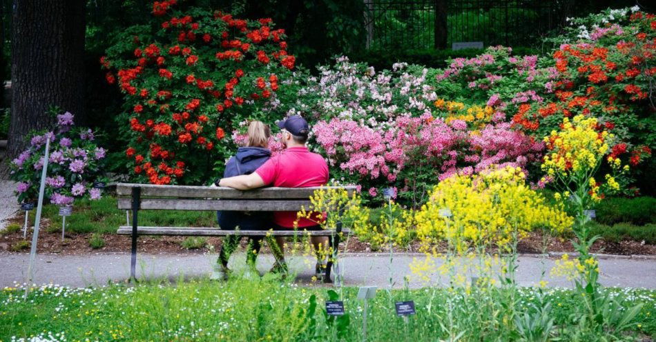 zdjęcie: Ogród Botaniczny UW zaprasza do udziału w aktywnościach związanych z zapachami / fot. PAP