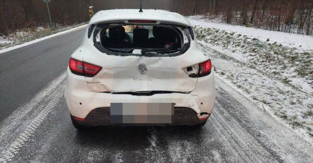 Kolizja w gminie Prabuty. Kierująca chciała uniknąć zderzenia z sarną