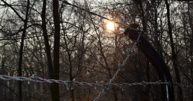 SG zatrzymała Afgańczyka w związku z organizowaniem nielegalnego przekraczania granicy