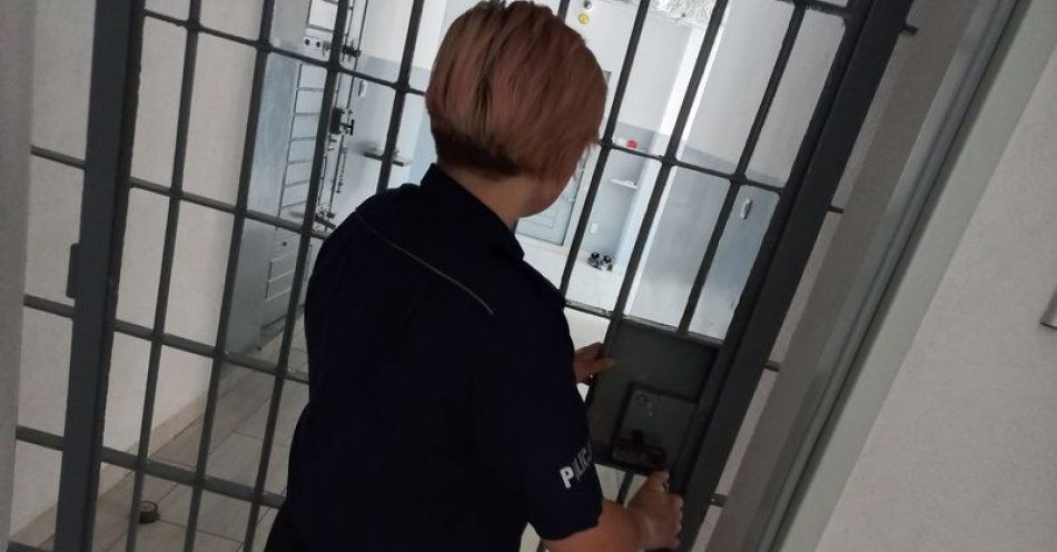 zdjęcie: Policjanci zatrzymali nastoletniego sprawcę usiłowania rozboju na 90-latce / fot. KPP w Złotoryi