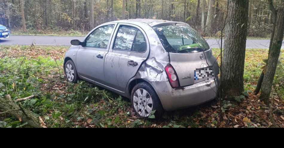 zdjęcie: Groźny wypadek na jesiennej drodze między Krzeczynem a Bystym / fot. KPP w Oleśnicy