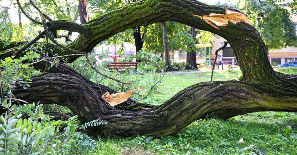 zdjęcie: Kilkadziesiąt interwencji strażaków po burzy, która przeszła nad miastem / fot. PAP