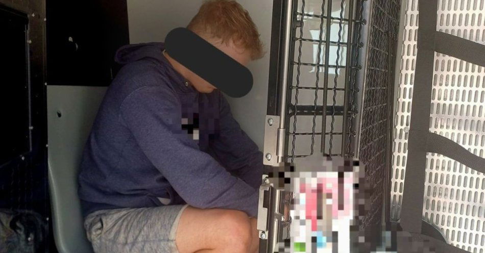 zdjęcie: Przed policjantami próbował ukryć się w zbożu / fot. KPP Parczew