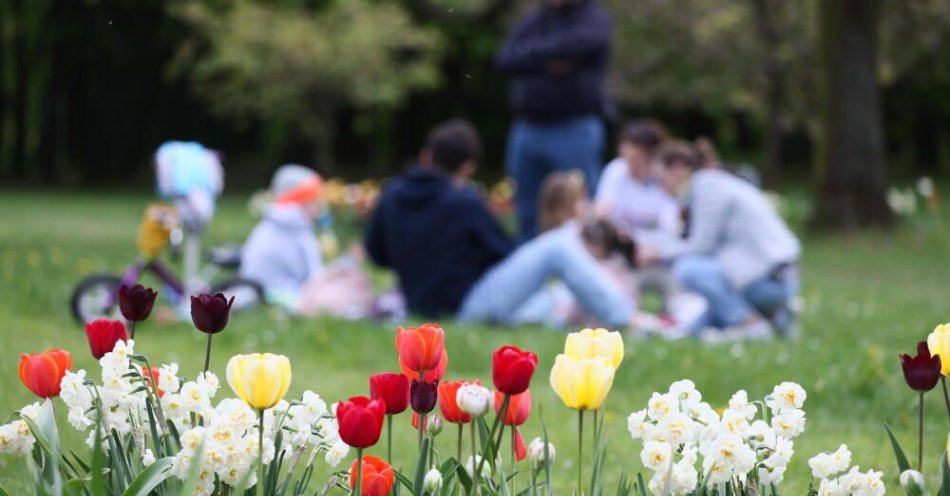 zdjęcie: W kolejnych tygodniach kwietnia pogoda wciąż zmienna; na trwałe ocieplenie trzeba poczekać / Warszawa, 27.04.2024. Kwitnące tulipany na stołecznym Polu Mokotowskim, 27 bm. (doro) PAP/Leszek Szymański