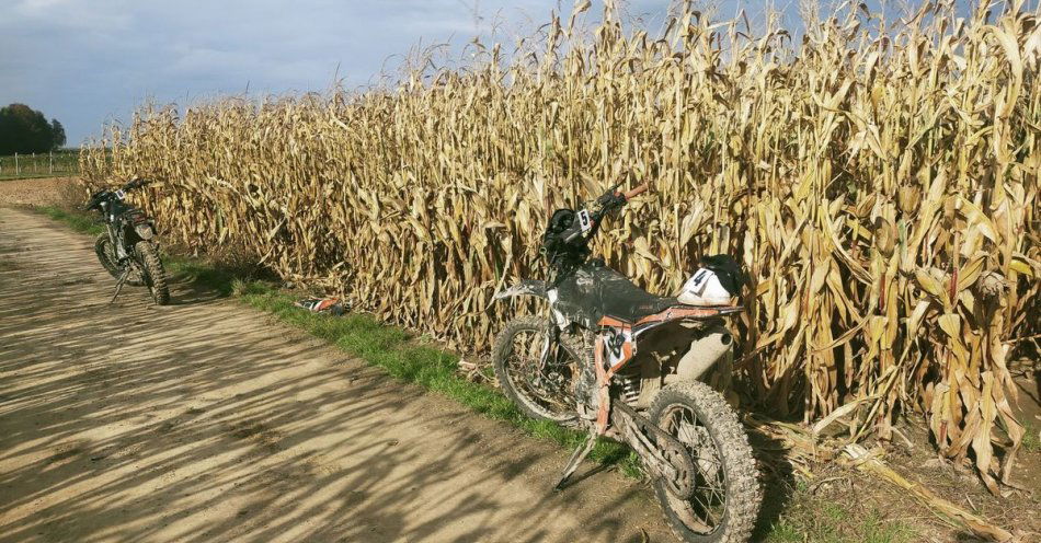 zdjęcie: Zderzenie dwóch motocyklistów / fot. KPP Janów Lubelski