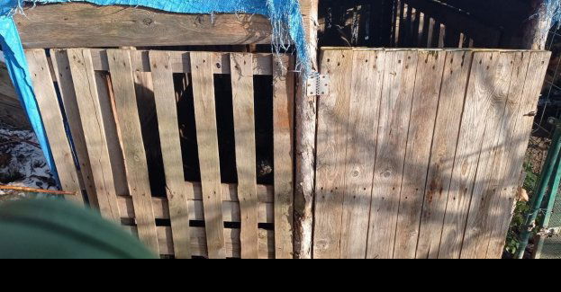 Policjanci uratowali psa, który przebywał w skrajnych warunkach