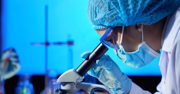 Na giełdzie rolno-ogrodniczej znaleziono kości – prawdopodobnie ludzkie